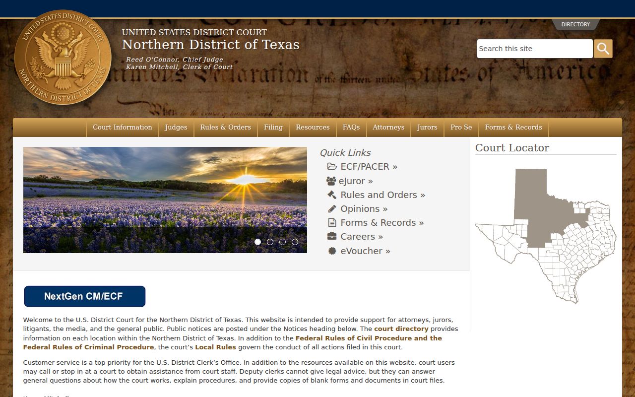 Shackelford County Albany criminal records Northern District of Texas court source
